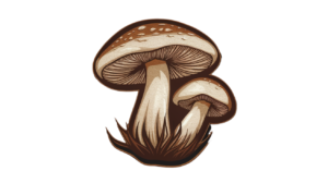 healthy mushrooms