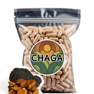 Chaga